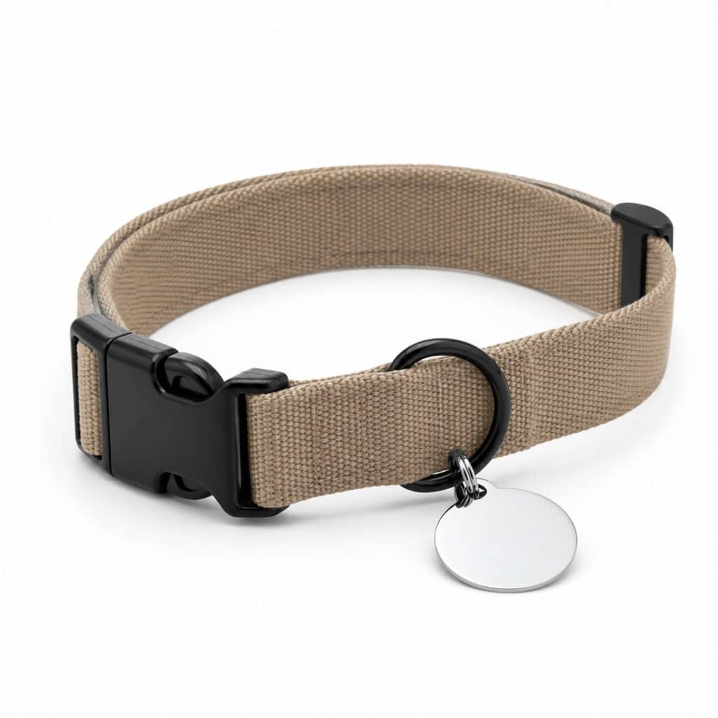 Collier avec plaque d'identification présenté seul