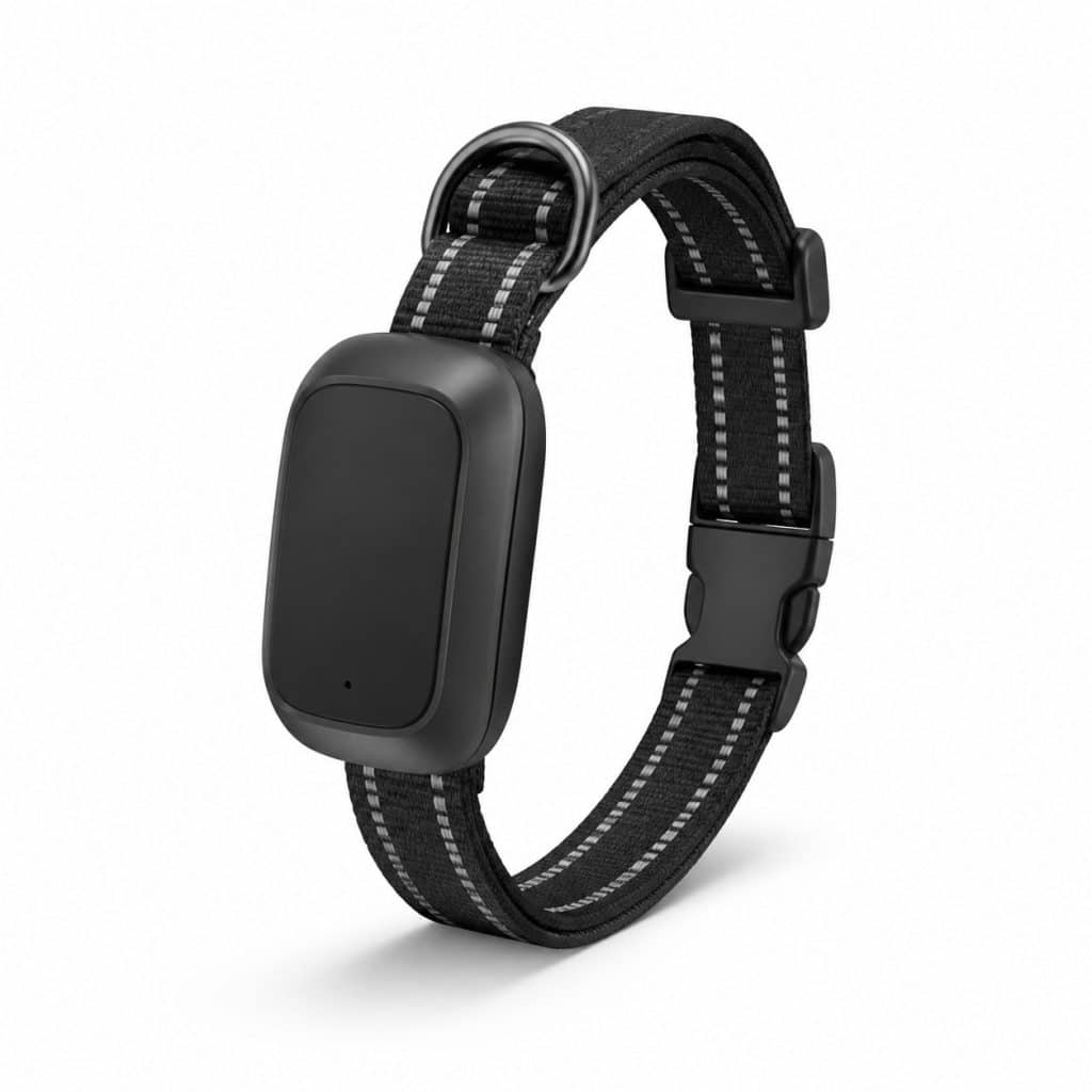 Collier connecté suivi d'activité présenté seul