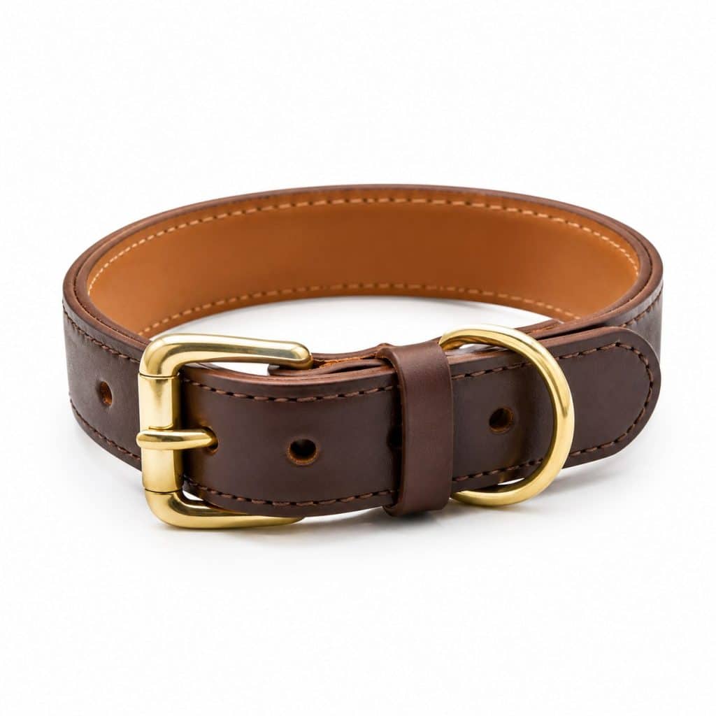Collier en cuir classique présenté seul