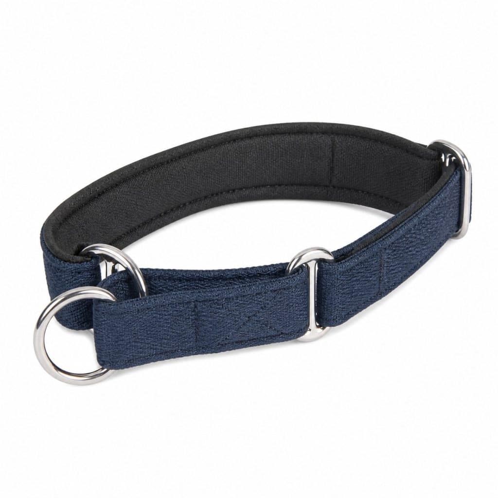 Collier martingale éducatif présenté seul