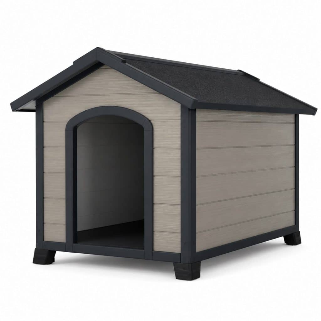 Niche isolée pour grand chien présenté seul